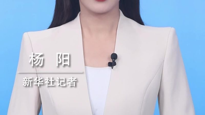 智能客服系统：如何选择合适的批发价格**